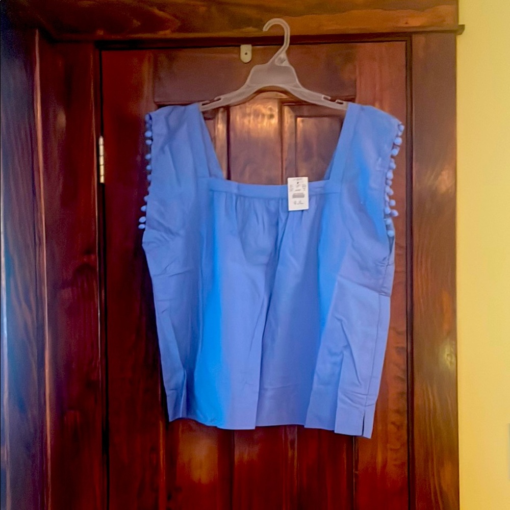 J. Crew Light Blue Sleeveless Blouse
